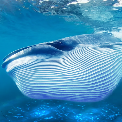 The Blue Whale logo