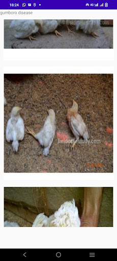 Digital Poultry Book Screen 3