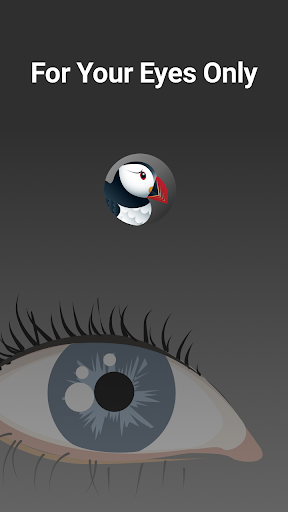 Screenshot of Puffin Incognito Browser