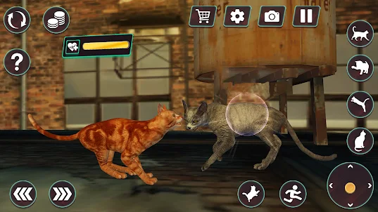 Cat Fighting Battle Simulator