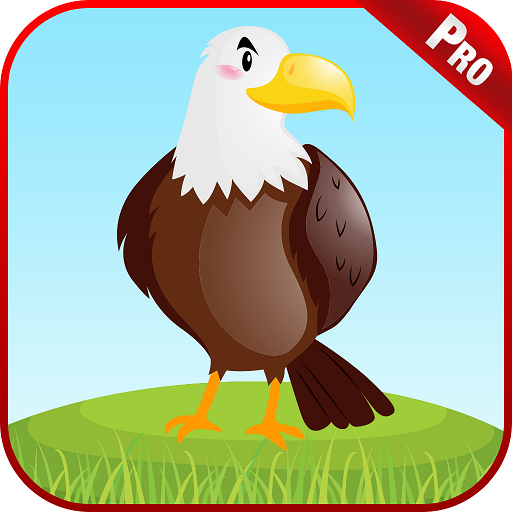 Learn Bird Name & Sounds Games logo