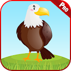 Learn Bird Name & Sounds Games 1.7