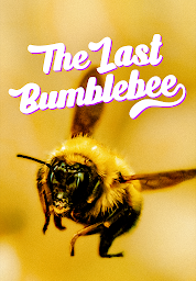圖示圖片：The Last Bumblebee