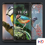 Cover Image of Unduh Bird Wallpapers 🦜 1.0 APK