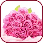 Cover Image of Download Rose Wallpapers  APK