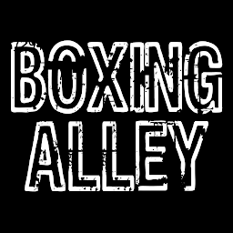 Boxing Alley: Download & Review