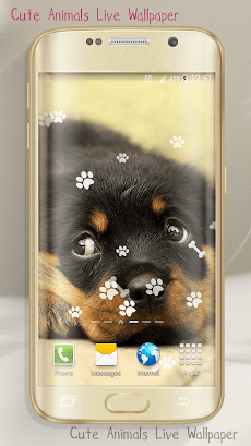 デスクトップ 動物の壁紙 かわいい写真 Androidアプリ Applion