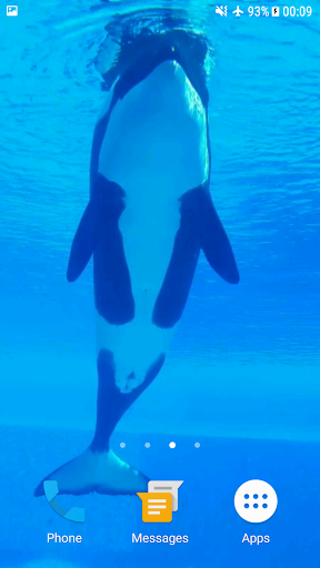 Orca Whale Video Wallpaper - Apps on Google Play