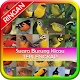 Suara Kicau Burung Lengkap Download on Windows