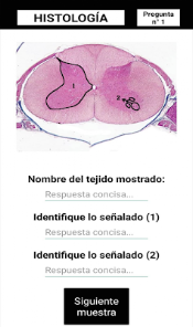 Captura de Pantalla 4 Test Histología android
