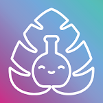 Cover Image of 下载 Mireille  APK