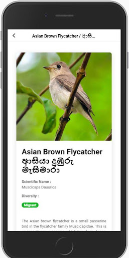 Birds of Sri Lanka Screen 2