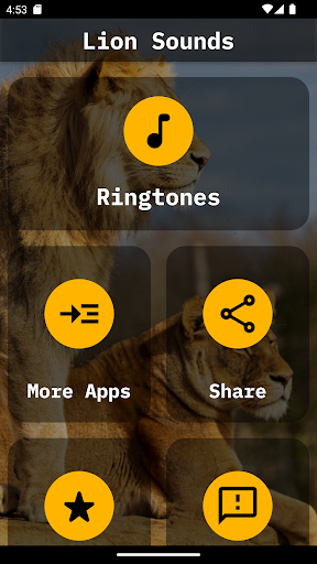 Lion Ringtones Screen 2