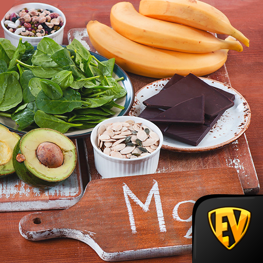 Magnesium Rich Diet Plan Foods logo