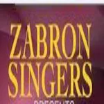 Cover Image of डाउनलोड Zabron Singers All Songs 9.8 APK