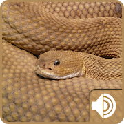 Top 20 Music & Audio Apps Like Rattlesnake Sounds - Best Alternatives
