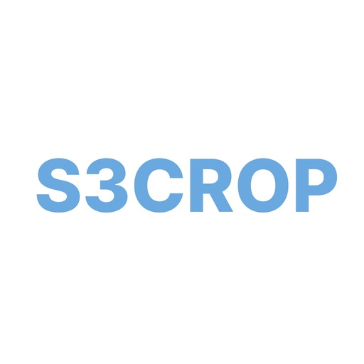 S3CORP logo