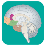 Neurology Review Quiz icon