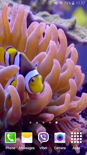 Aquarium Video Live Wallpaper Screen 3