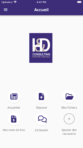 H&D Consulting Screen 2
