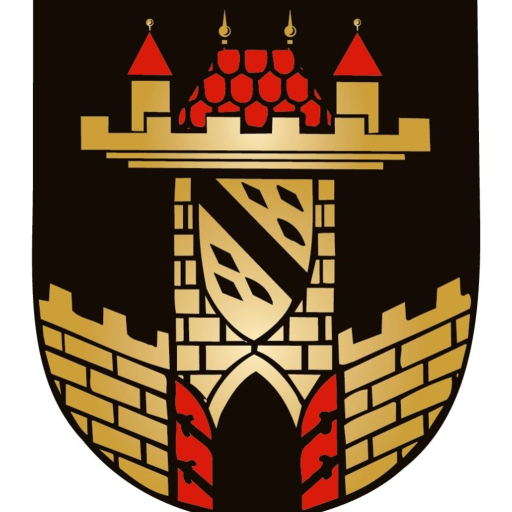 Mein Leisnig 2.0 logo