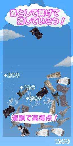 Android application ねこパズル -猫を繋げて大連鎖！- screenshort
