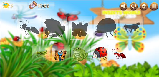 Insects World Puzzles