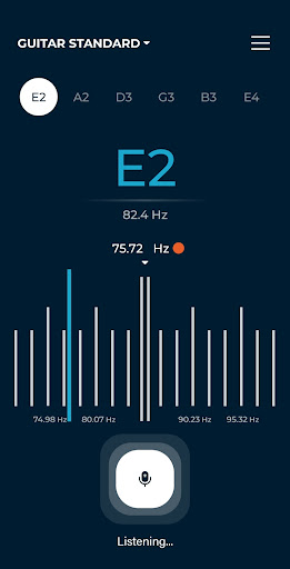 Pocket Tuner Screen 2