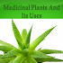 Medicinal Plants and Its Uses1.1