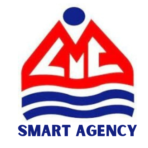 MLI - Smart Agency logo