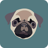 Cute Pug Wallpapers icon