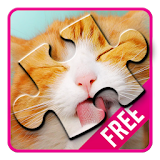 Cat Jigsaw Puzzle Game icon