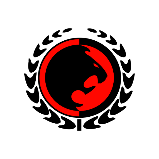 Chicago MMA logo
