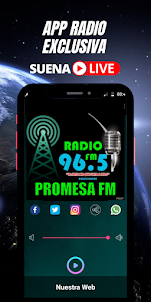Radio Promesa 96.5