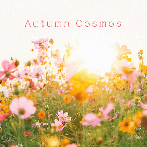 Autumn Cosmos Theme +HOME logo