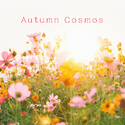 Icon image Autumn Cosmos Theme +HOME