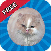 Top 49 Casual Apps Like Jumping Cat FREE - touch & tap - Best Alternatives