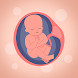 Календарь беременности - Androidアプリ
