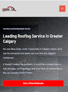 Local Roof Repair Specialists