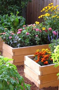 DIY Gardening Tipsのおすすめ画像5