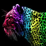 3D Color leopard icon