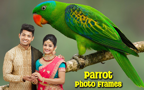 Parrot Photo Frames