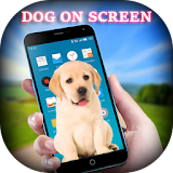 Dog on Screen - Dog in Phone Funny Joke icon