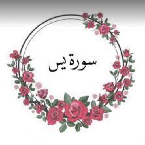 سورة يس بصوت محمد الشناوي logo