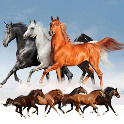 Horse Racing Pro ilovasi rasmi
