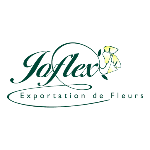 Joflex logo