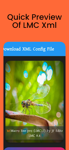 XML Preset - Capture and Edit Screen 3