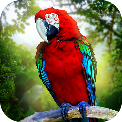 Jungle Parrot Simulator - 野生の鳥の生存をお試しください！ Windowsでダウンロード
