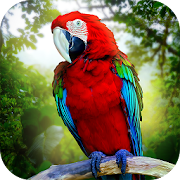 Top 42 Simulation Apps Like Jungle Parrot Simulator - try wild bird survival! - Best Alternatives