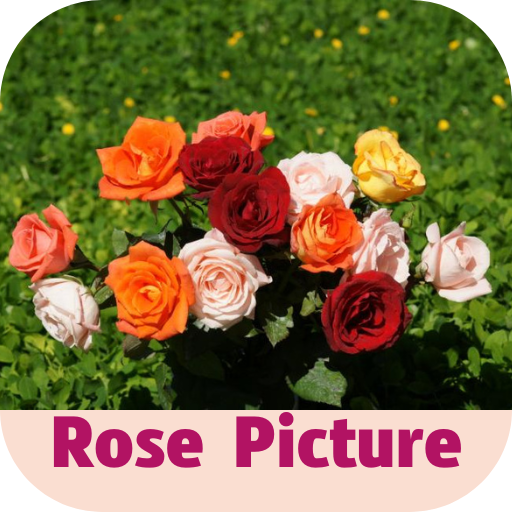 rose picture logo